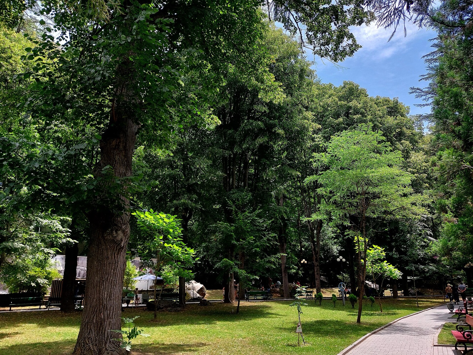Borjomi Central Park