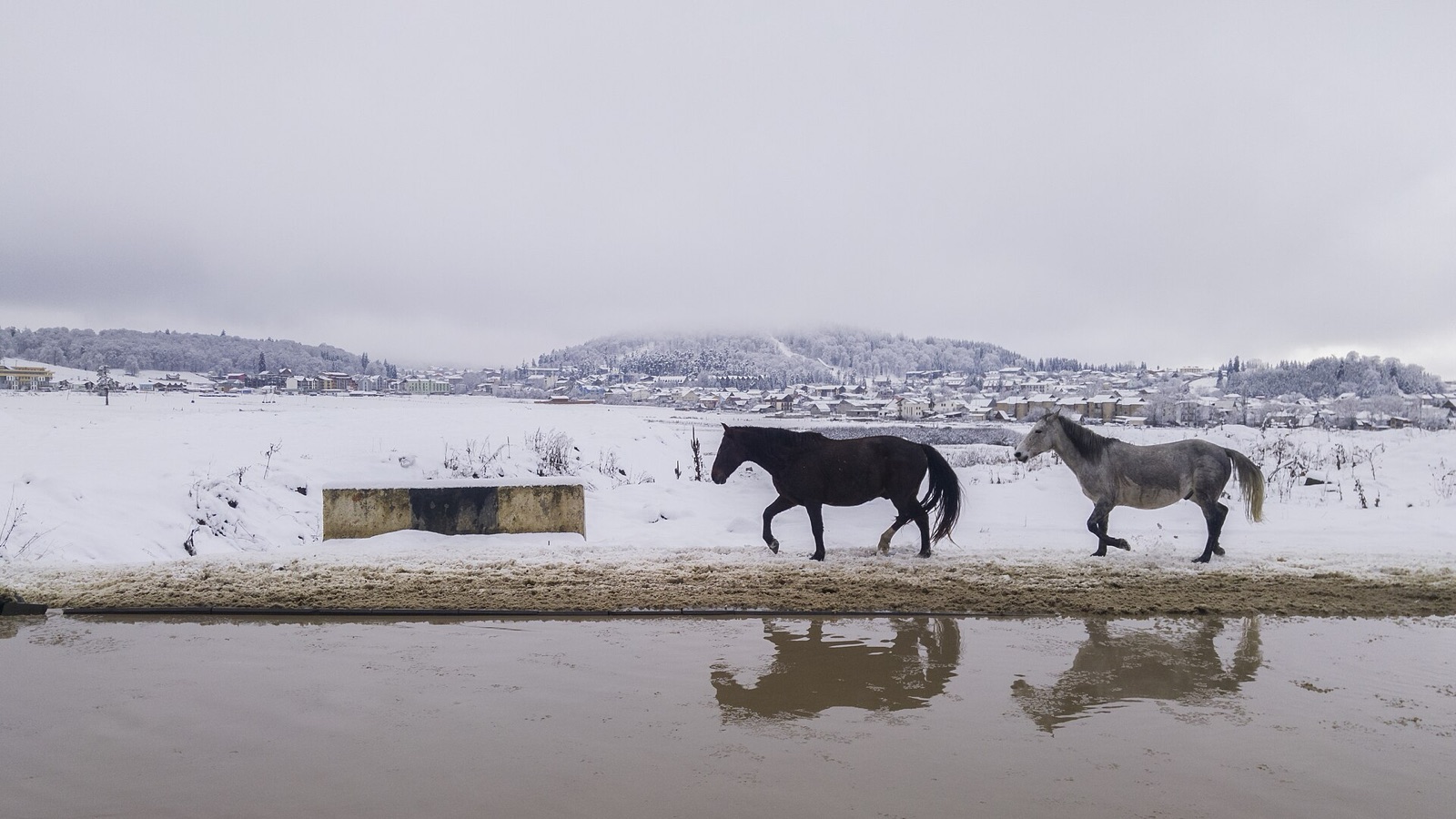 Bakuriani under winter snow