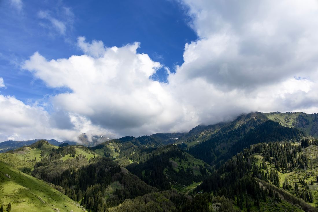 Green mountains from above